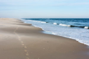 Assateague Island National Seashore