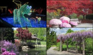 Brookside Gardens