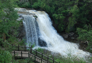  Swallow Falls State Park