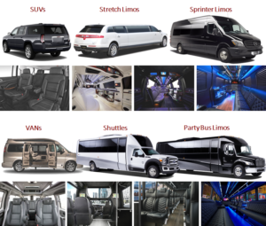 choose the best limo