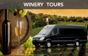 Wine Tours & Transportation